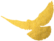 重磅升級!中為檢驗完成CNAS擴項(圖2) 重磅升級!中為檢驗完成CNAS擴項(圖2)