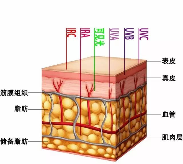 激光光生物安全和光生物安全介紹(圖2) 激光光生物安全和光生物安全介紹(圖2)