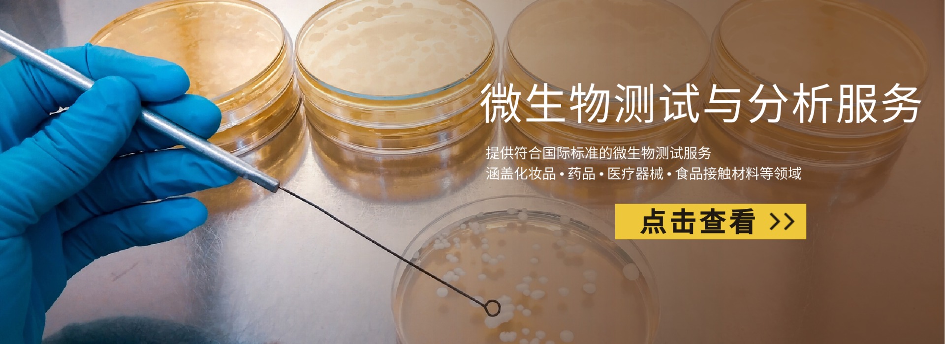 微生物測(cè)試與分析服務(wù)(圖1) 微生物測(cè)試與分析服務(wù)(圖1)